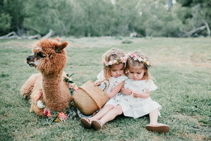 Rainbow alpaca girl's birthday party for twins