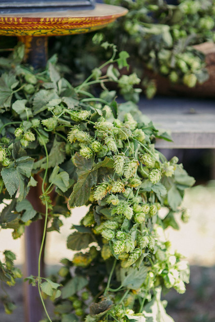 hops for wedding flowers