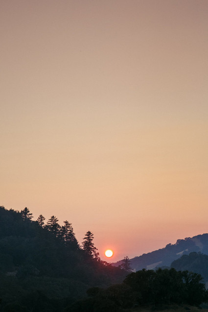 beautifully rustic Anderson Valley wedding with a hippie bus and floral mandala