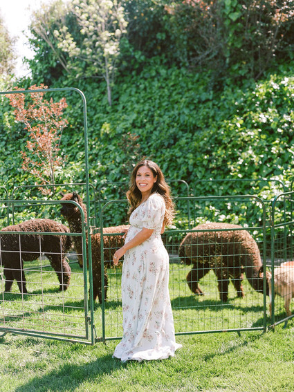 High tea backyard baby shower with baby animals