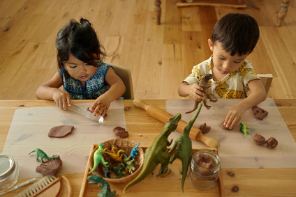 Natural dinosaur themed 3rd birthday