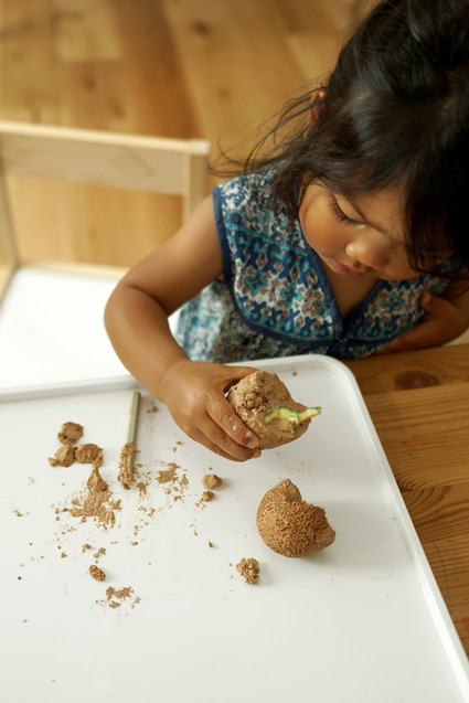 Natural dinosaur themed 3rd birthday