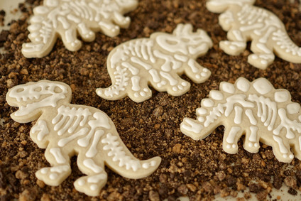 Natural dinosaur themed 3rd birthday