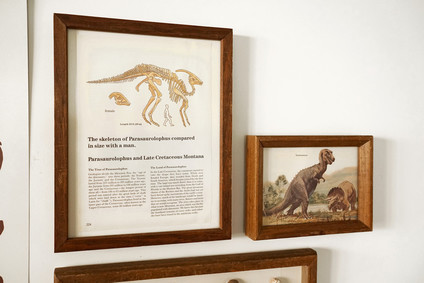 Natural dinosaur themed 3rd birthday