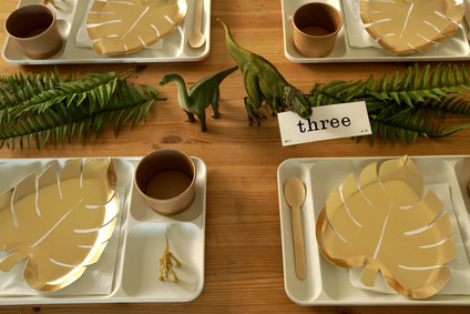 Natural dinosaur themed 3rd birthday