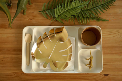 Natural dinosaur themed 3rd birthday