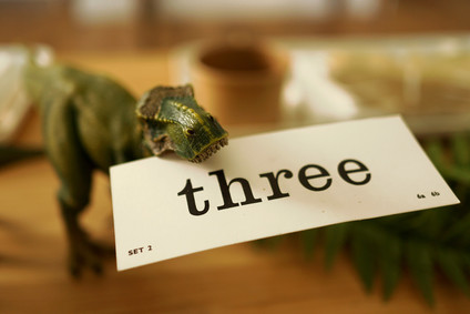 Natural dinosaur themed 3rd birthday