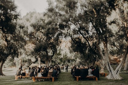 Minimal modern fall wedding at Hummingbird Nest Ranch with ALL dried flowers