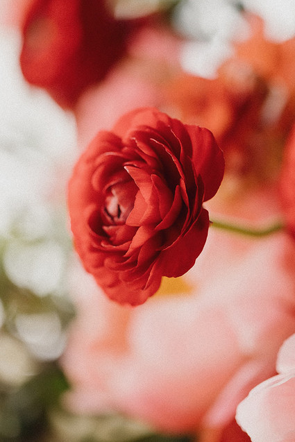 Elegant floral first birthday Korean Dol with peonies
