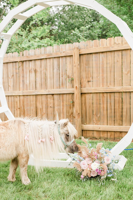 Pastel unicorn birthday party ideas
