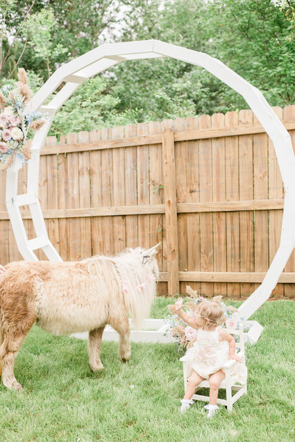 Pastel unicorn birthday party ideas