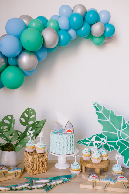 Boys shark themed birthday