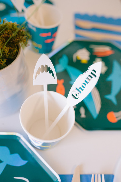 Boys shark themed birthday