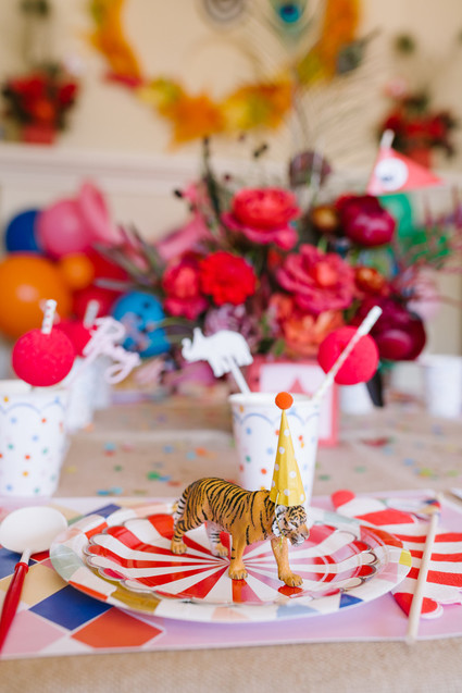 Circus themed birthday party ideas