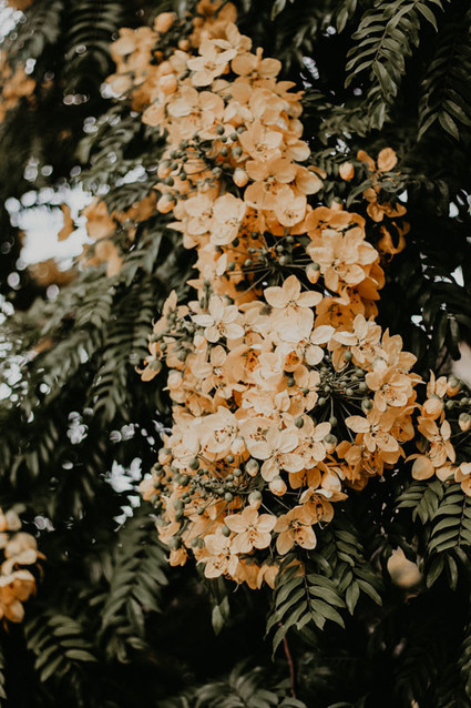 Quincy Maeâ€™s daisy inspired 2nd birthday from Kelli Murray