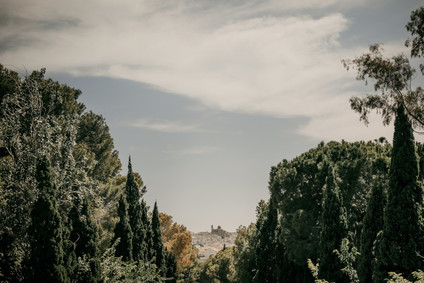Elegant wedding in Spain