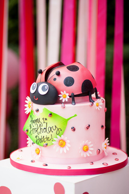 Ladybug birthday cake