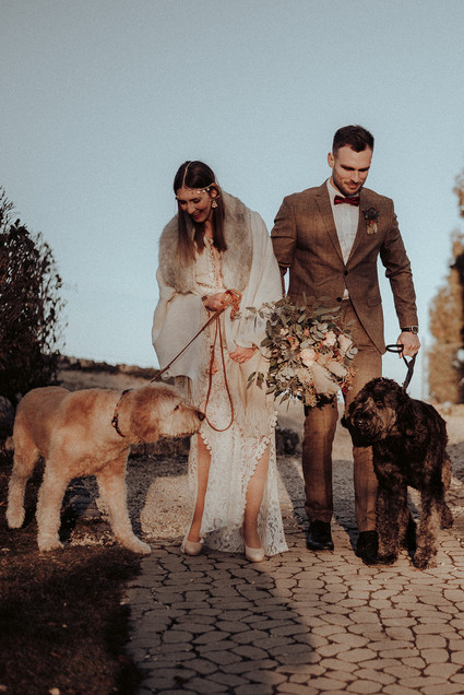Wedding portraits with dogs