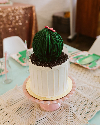 Cactus cake idea