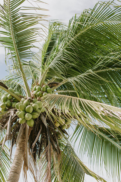 Where to get married in Costa Rica Inspiration