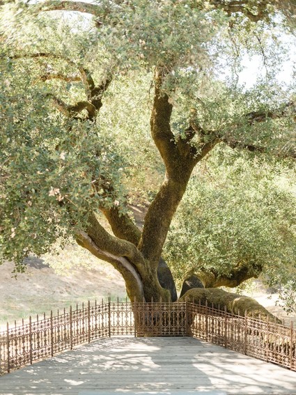 Bright, rustic orange + yellow Northern California ranch wedding
