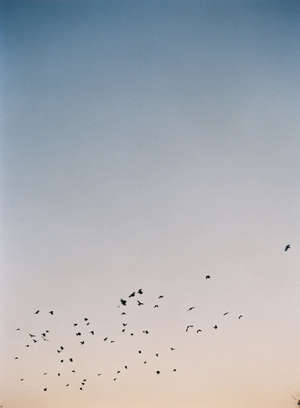 Colorful and elegant Santa Lucia Preserve wedding