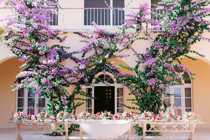bougainvillea wedding backdrop