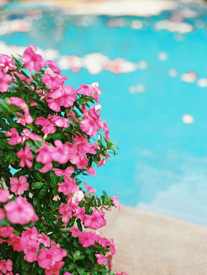 Ram Dass officiated this couple’s bohemian Maui wedding