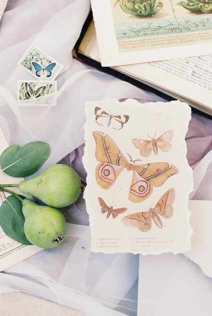 butterfly themed wedding suite