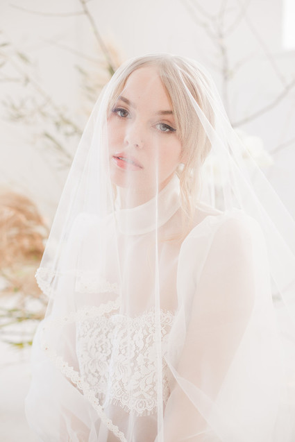 bridal veil portrait Inspiration