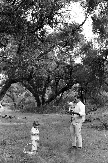 Sweet southern California family elopement at a park