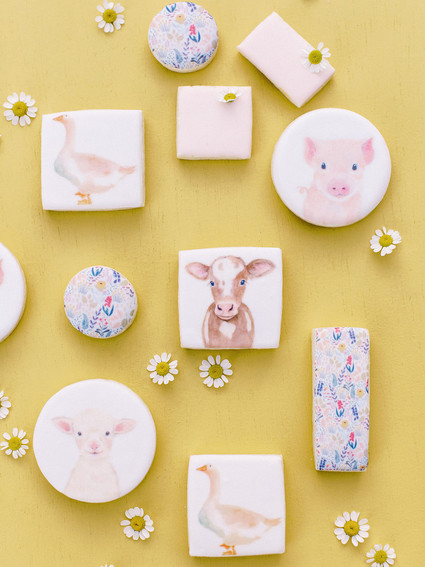 Charlotte's Web themed spring baby shower cookies
