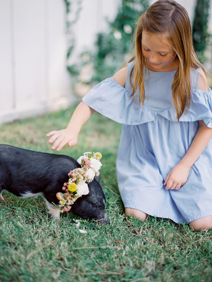petting zoo for baby shower