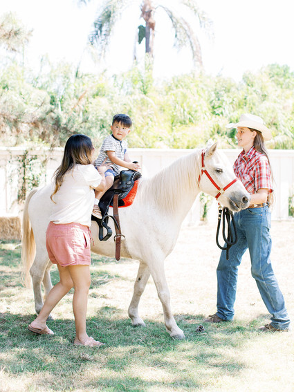 petting zoo for baby shower