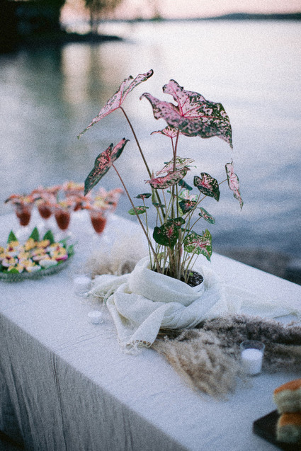 Bohemian Elopement Inspiration