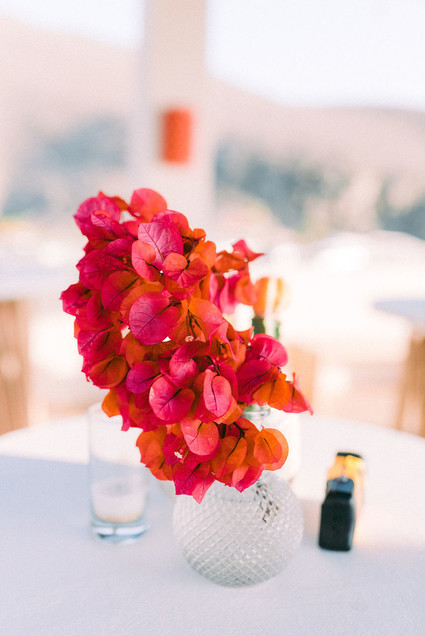 Bougainvillea Inspiration