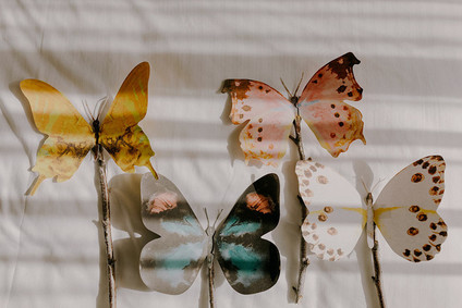 butterfly themed wedding in Carmel Valley