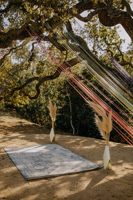 butterfly themed wedding in Carmel Valley