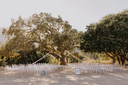 butterfly themed wedding in Carmel Valley