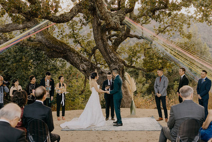 butterfly themed wedding in Carmel Valley