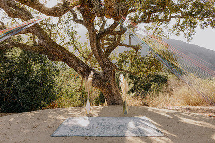 butterfly themed wedding in Carmel Valley
