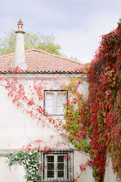 Home Inspiration