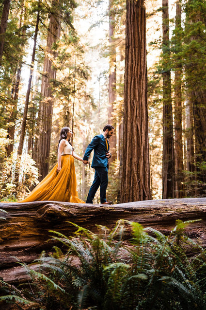 forest elopement