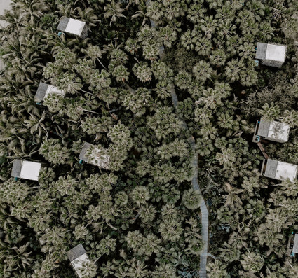 Mexico micro wedding