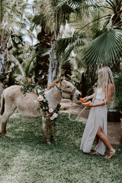 Mexico micro wedding