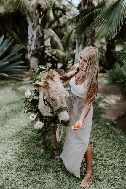 Mexico micro wedding