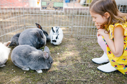 Alice in Wonderland kid birthday party