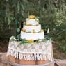 Rustic wedding cake