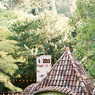 A 40th birthday party wedding festival in Portugal