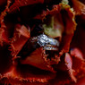 bridal wedding ring